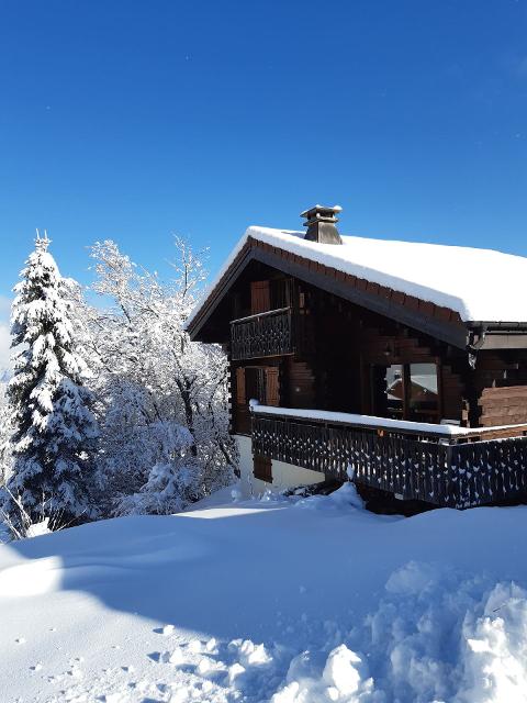 CHALET LA BARTAVELLE - Les Carroz d'Araches