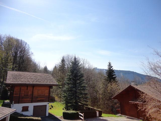 CHALET LES CLARINES - Les Carroz d'Araches