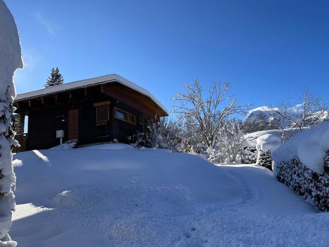 CHALET TINN TAMN - Les Carroz d'Araches