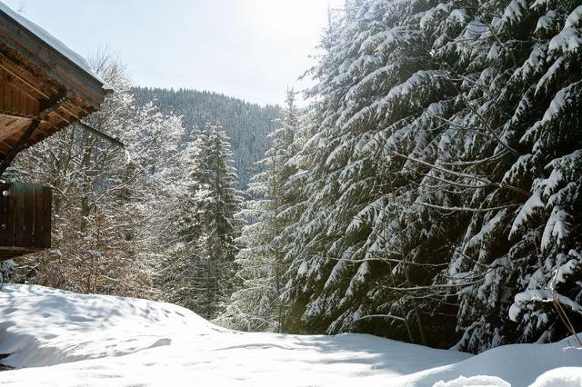 Apartements FRONT DE NEIGE - Les Carroz d'Araches