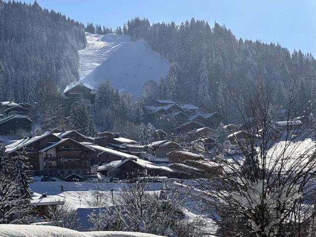 Apartements FRONT DE NEIGE - Les Carroz d'Araches
