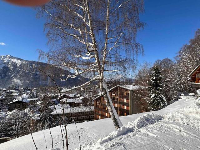 Apartements GRANDS VANS - Les Carroz d'Araches