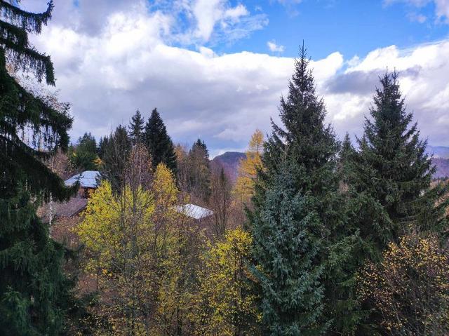 Apartements IZE - Les Carroz d'Araches