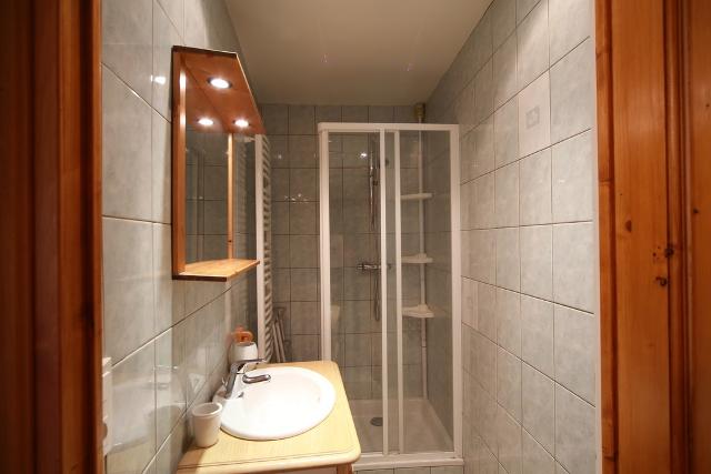 Apartements LA FONTAINE - Les Carroz d'Araches