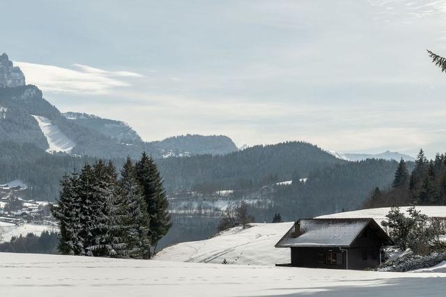 Apartements LES ALPAGES - Les Carroz d'Araches