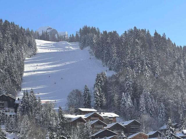 Apartements LOTHIERS - Les Carroz d'Araches