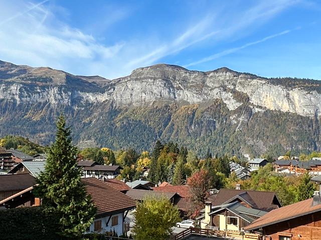 Apartements LUTINS - Les Carroz d'Araches