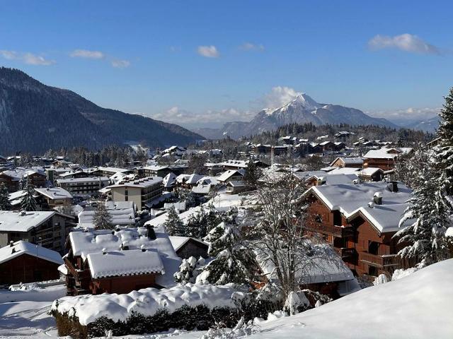 Apartements LUTINS - Les Carroz d'Araches