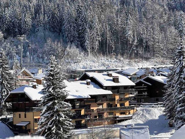 Apartements NANTEY - Les Carroz d'Araches