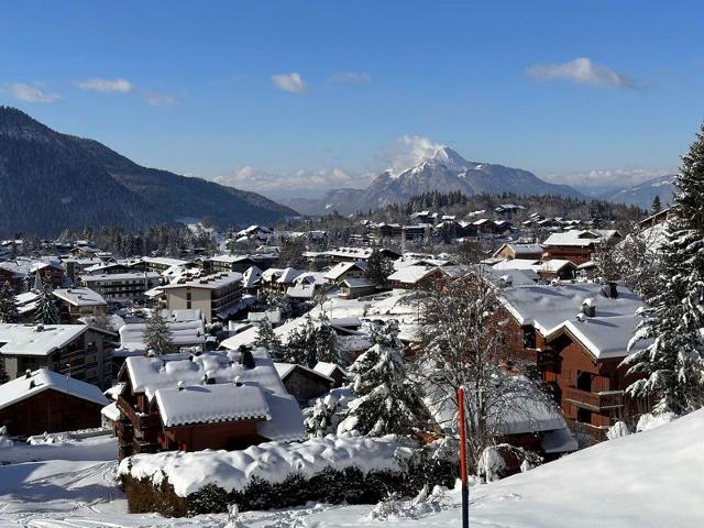 Apartements PLATE - Les Carroz d'Araches