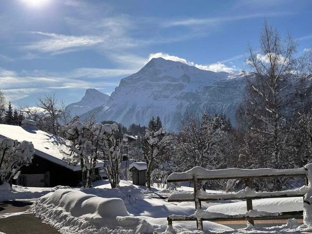 Apartements PLATE - Les Carroz d'Araches
