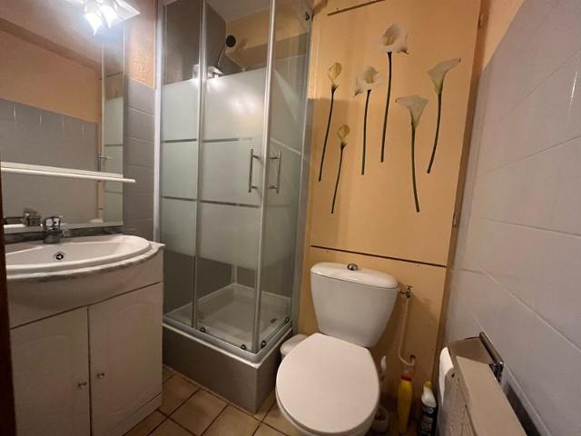 Apartements SUNOTEL - Les Carroz d'Araches
