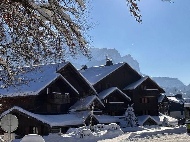 Apartements TRAPPEURS - Les Carroz d'Araches