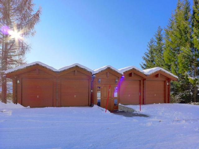 Apartment Soldanella - Crans - Montana
