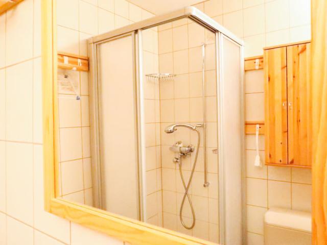 Apartment Ambassador II / 5 - Nendaz