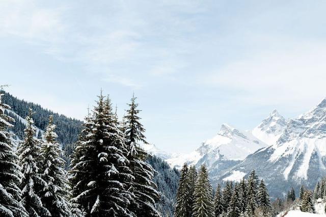 Apartements BELLATRIX - Flaine Front de Neige 1500