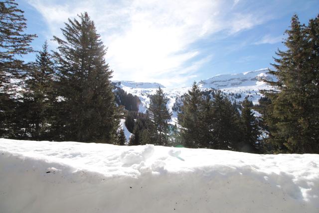 Apartements GRANDS VANS - Flaine Forêt 1700