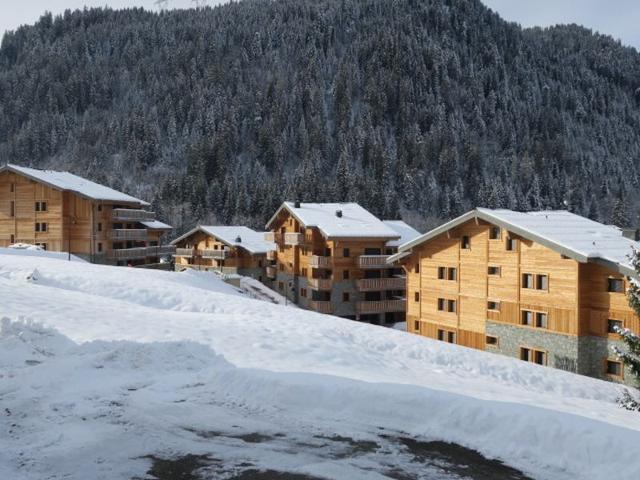 3-Room Apartment with Terrace, Garage, and Wifi FR-1-198-194 - Châtel