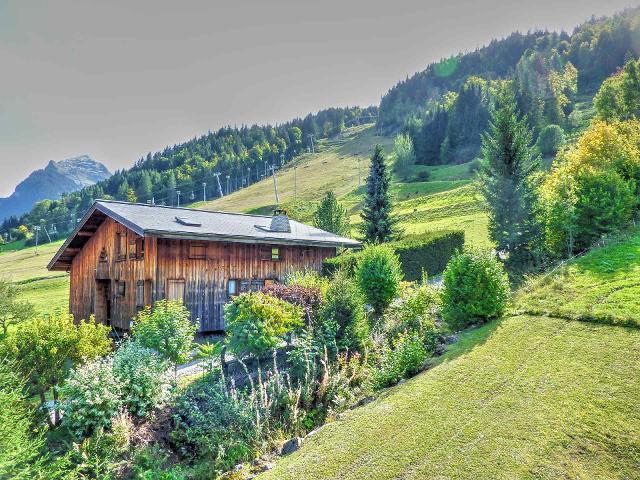 Apartements LE PICARON - Morzine