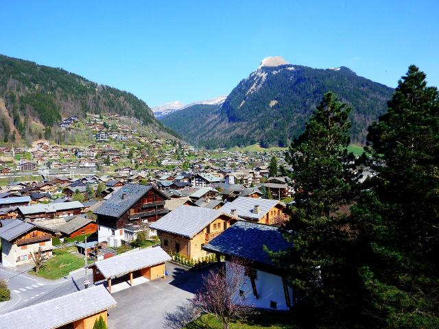 Apartements LE PLENEY - Morzine