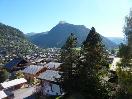 Apartements LE PLENEY - Morzine