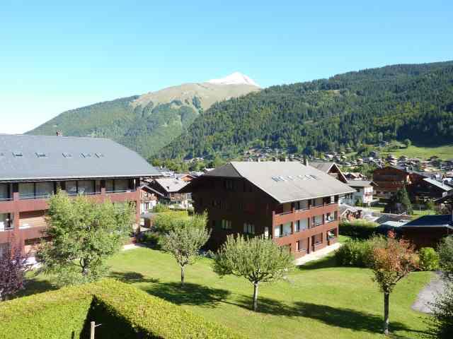 Apartements LES CHAMPS DE LA PLAGNE - Morzine