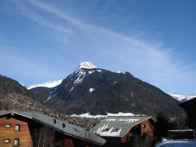 Apartements LES JOUX - Morzine