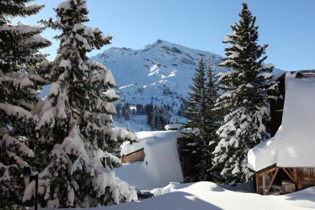 Apartements ARAUCARYA - Avoriaz