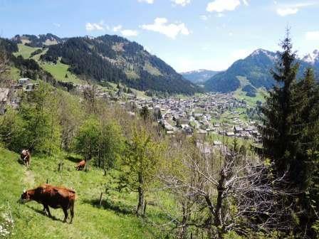 CHALETS DE BARBESSINE - Châtel