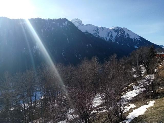 CHALETS DE BARBESSINE - Châtel