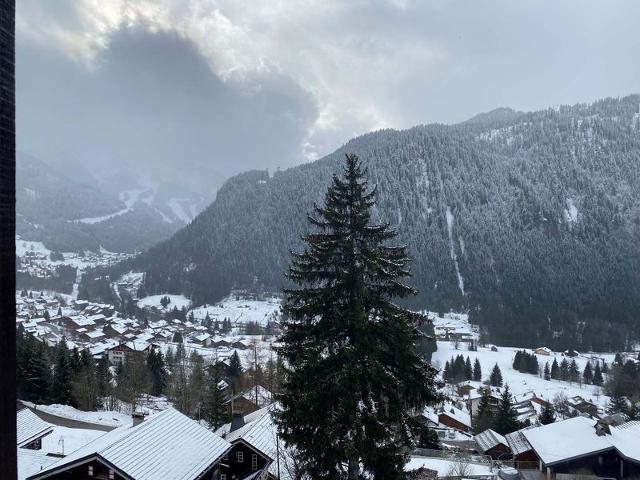 Apartements LES SORBIERS - Châtel