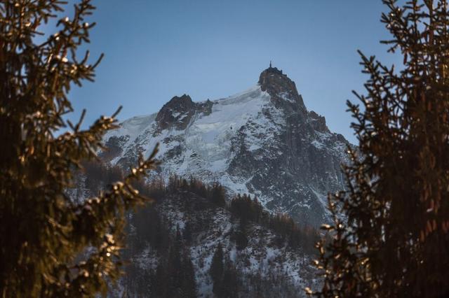 Apartements CHAMONIX SUD BAT.G GREPON - Chamonix Sud