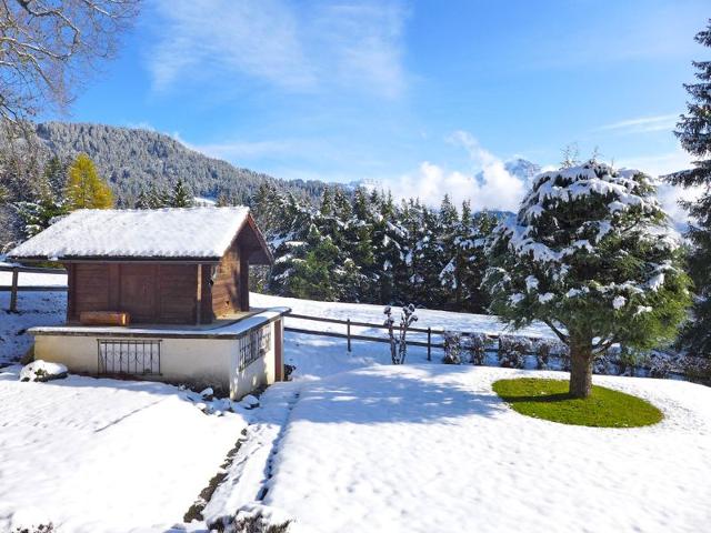 Châlet Marmousets 2 - Villars - sur - Ollons