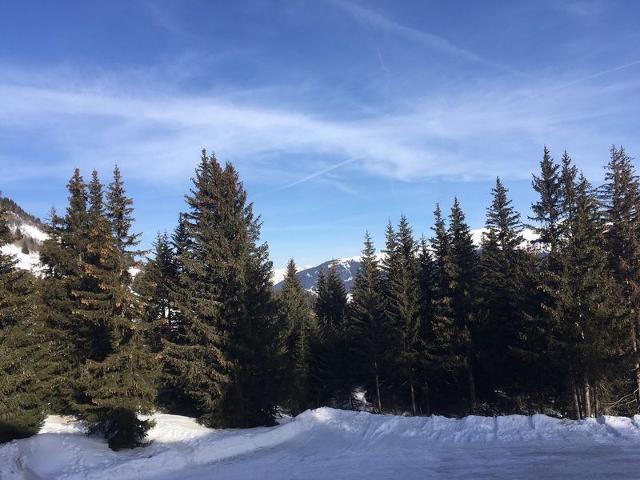 Apartements JARDIN ALPIN - Courchevel 1850