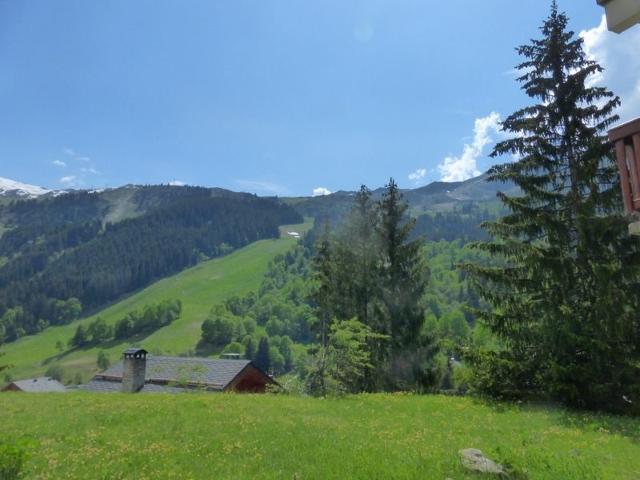 Apartements LE VALLON - Méribel Centre 1600