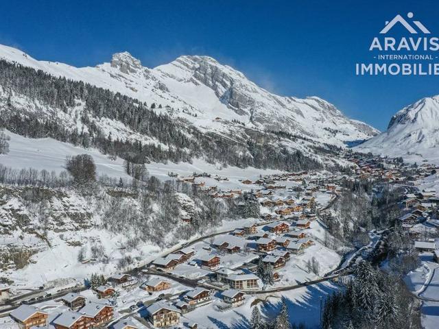 Ski-in/Ski-out Apartment with Balcony & Garage, Sleeps 4 FR-1-391-110 - Le Grand Bornand