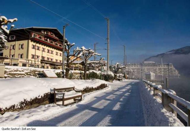 Hotel Seehof - Zell am See