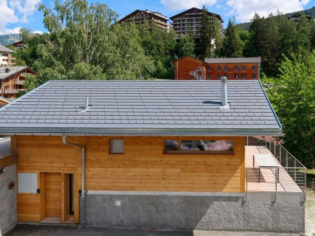 Châlet Les Penguins - Nendaz