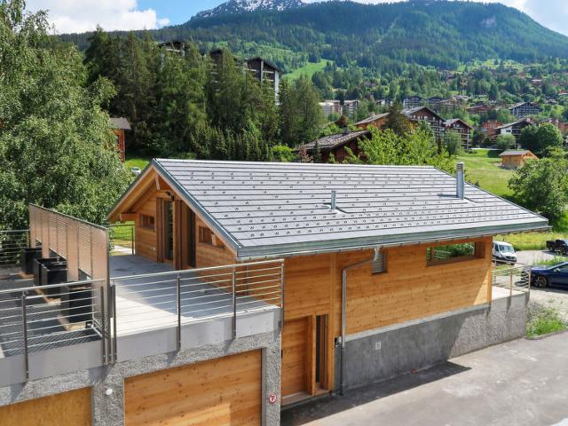 Châlet Les Penguins - Nendaz