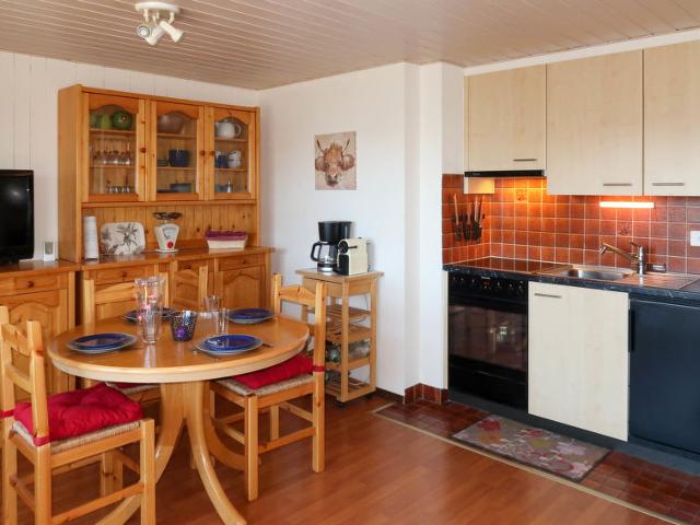 Apartment Bisse Vieux B1 - Nendaz