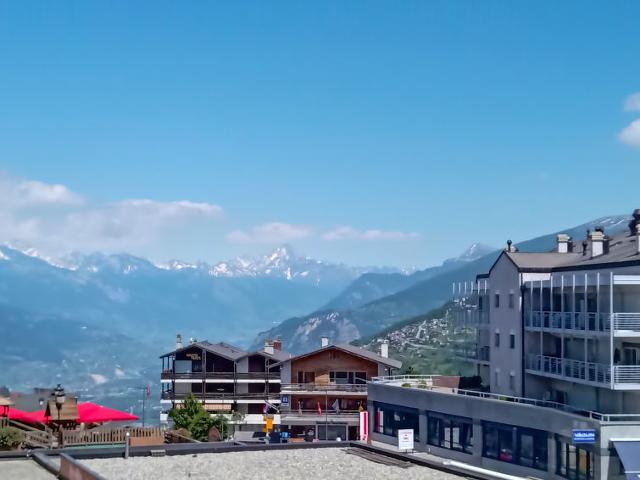 Apartment Platanes A1 - Nendaz