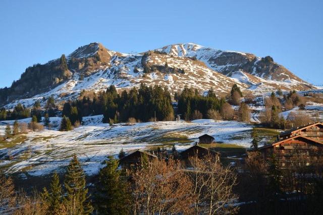 Appartment Cimes CH160-08 - Le Grand Bornand