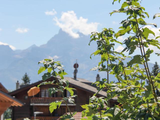 Apartment Goeland n°4 - Villars - sur - Ollons