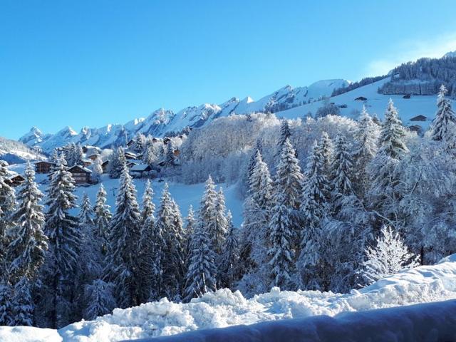 Ski-in/ski-out apartment, 2 bedrooms, terrace and covered parking - La Clusaz FR-1-459-49 - La Clusaz