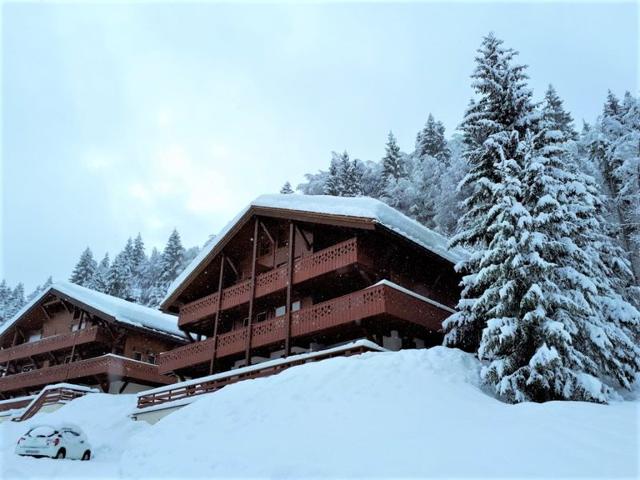 Ski-in/ski-out apartment, 2 bedrooms, terrace and covered parking - La Clusaz FR-1-459-49 - La Clusaz