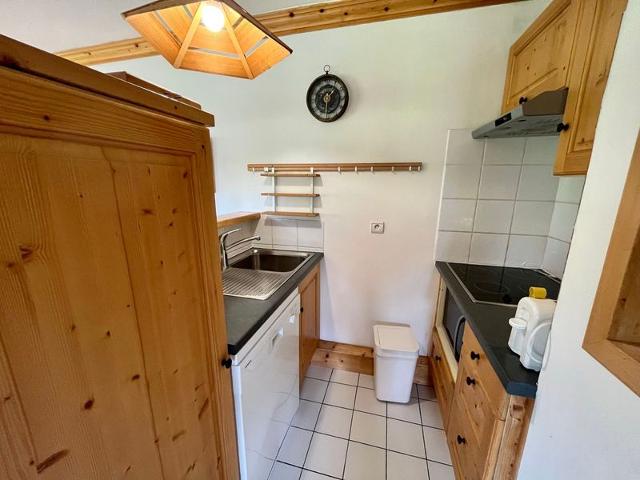 Ski-in/ski-out apartment, 2 bedrooms, terrace and covered parking - La Clusaz FR-1-459-49 - La Clusaz