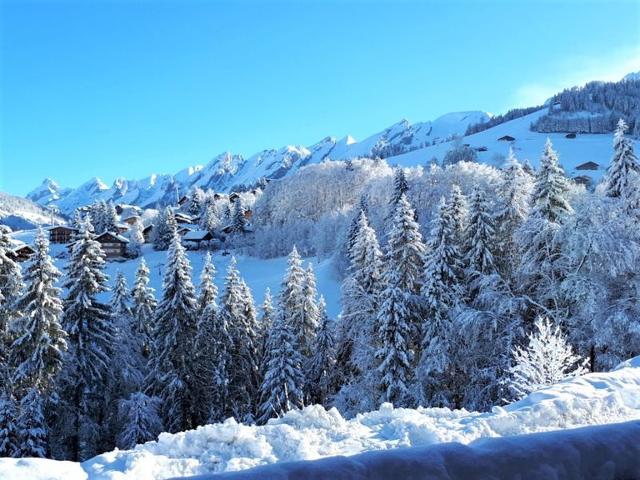 Ski-in/ski-out apartment, 2 bedrooms, terrace and covered parking - La Clusaz FR-1-459-49 - La Clusaz