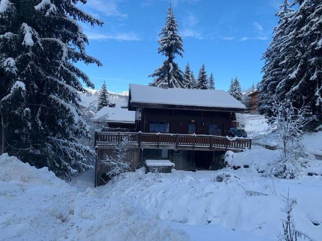 CHALET CLEMENTINE - La Tania