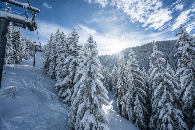 Appartment Bouquetins A BQA227 - La Rosière