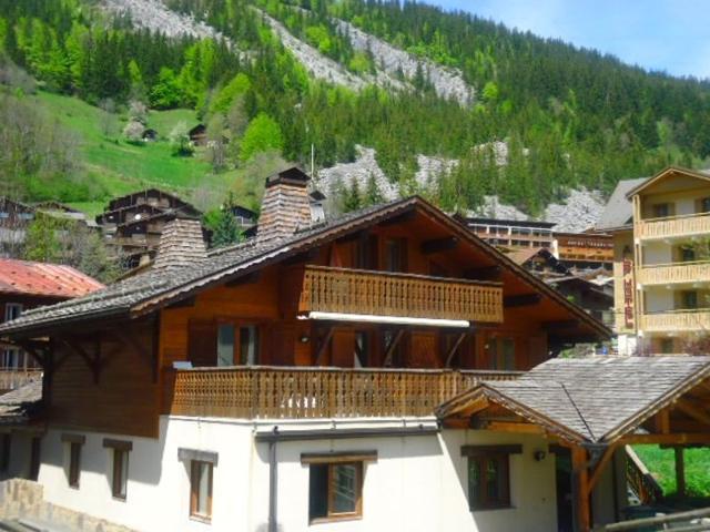 Ski-in, renovated duplex 4 BR, terrace, fireplace, all comfort FR-1-459-22 - La Clusaz